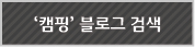 '캠핑'블로그 검색
