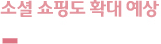 소셜 쇼핑도 확대 예상