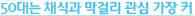 50대는 채식과 막걸리 관심 가장 커