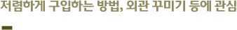 저렴하게 구입하는 방법, 외관 꾸미기 등에 관심