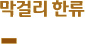 막걸리 한류