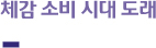 체감 소비 시대 도래