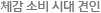 체감 소비 시대 견인
