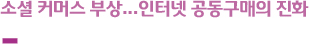 소셜 커머스 부상...인터넷 공동구매의 진화